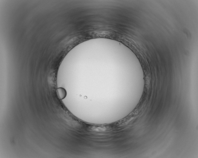 X0000113070181200908281018