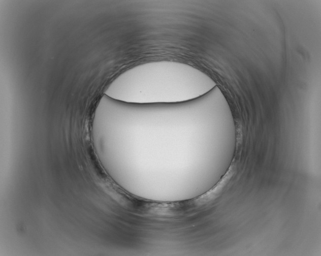 X0000113070182200908281018