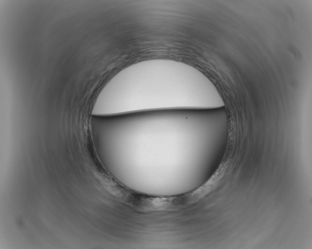 X0000113070184200908281018