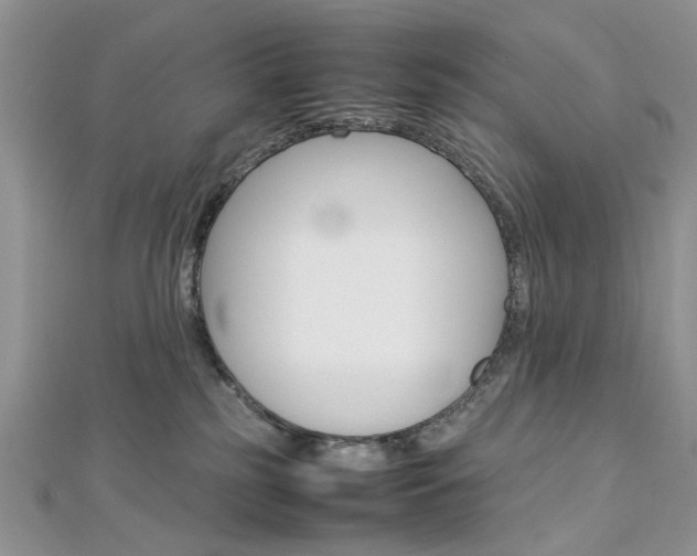 X0000113070185200908281018