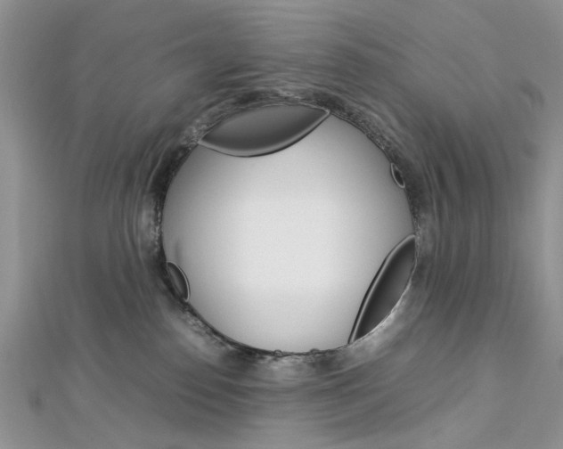 X0000113070186200908281018