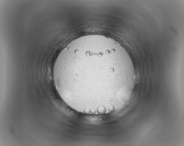 X0000113070187200908281018