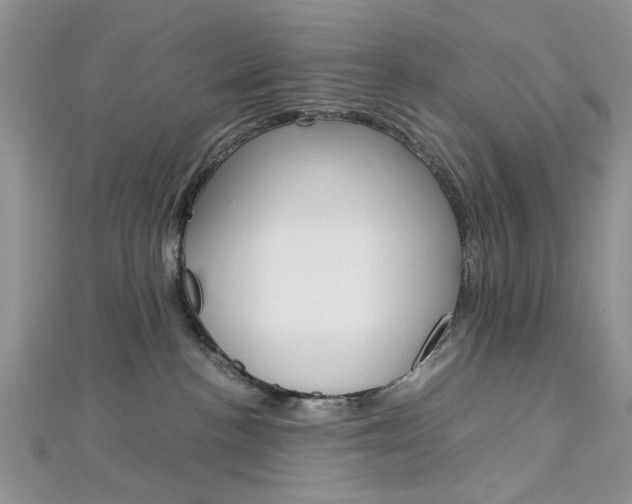 X0000113070188200908281018