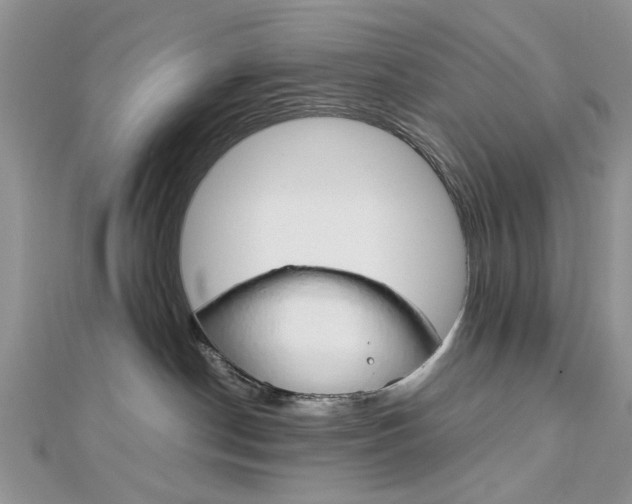 X0000113070190200908281018