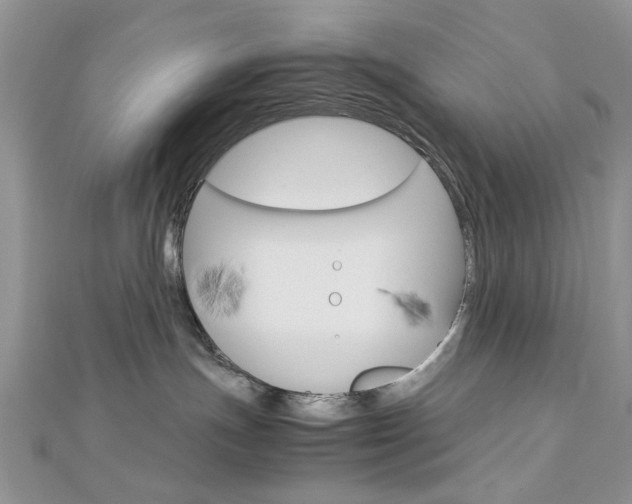 X0000113070191200908281018