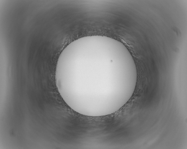 X0000113070192200908281018