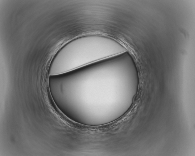 X0000113070193200908281018