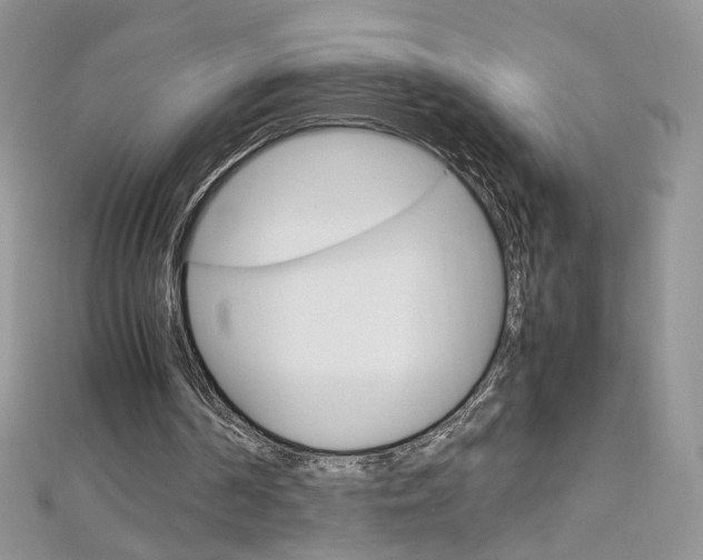 X0000113070194200908281018