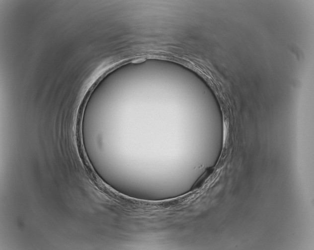 X0000113070195200908281018