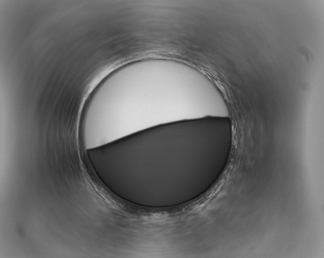 X0000113070196200908281018
