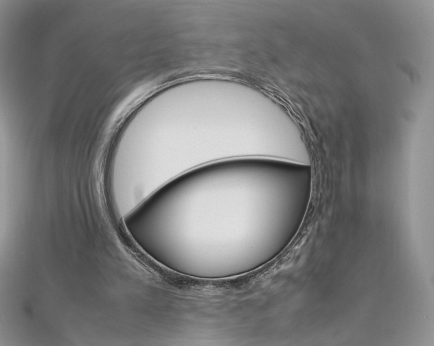 X0000113070197200908281018