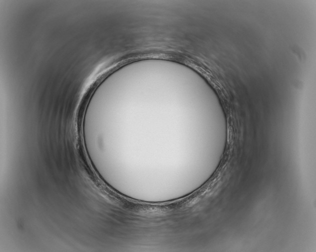 X0000113070198200908281018