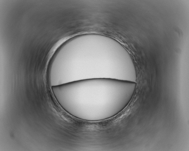 X0000113070200200908281018