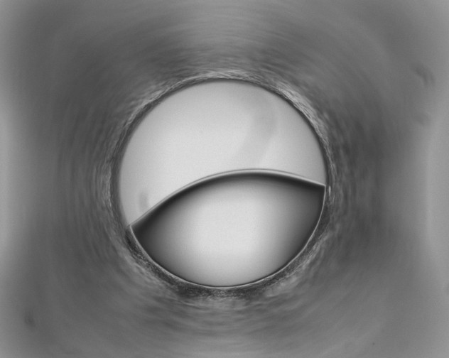 X0000113070201200908281018