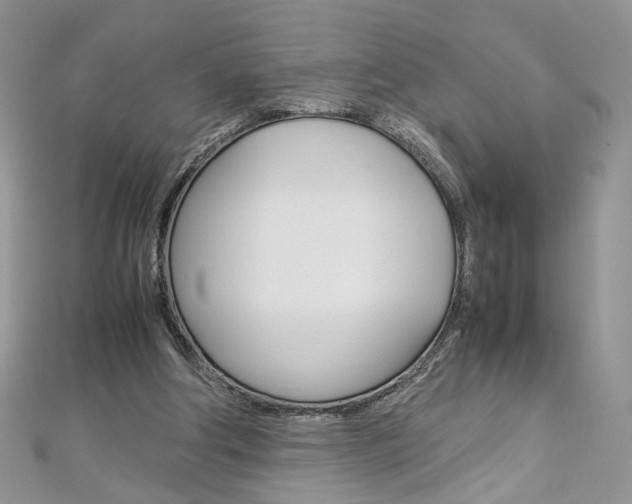 X0000113070202200908281018
