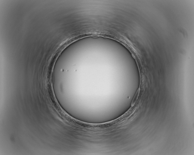 X0000113070203200908281017