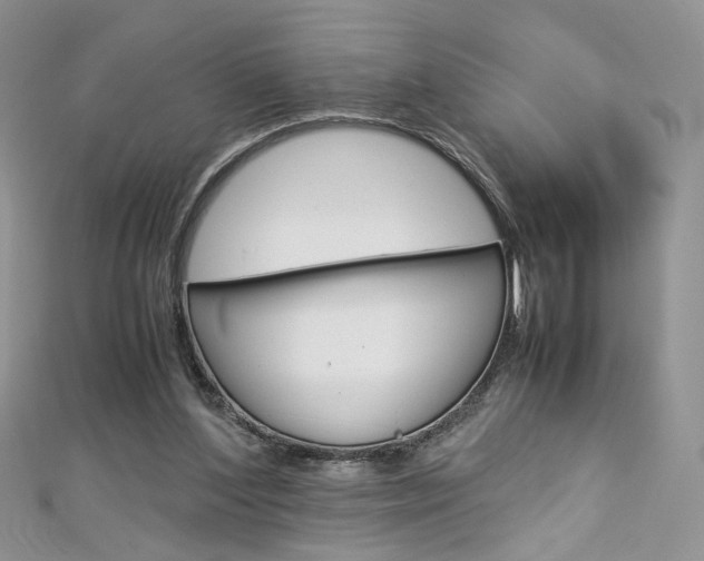 X0000113070204200908281017