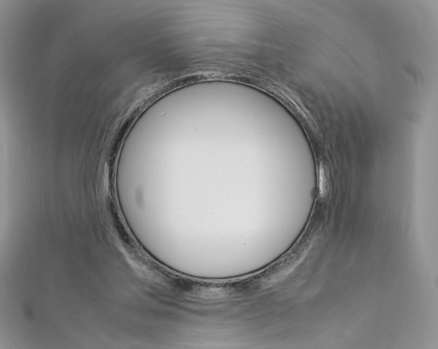 X0000113070205200908281017