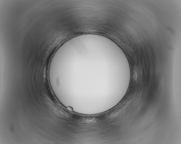 X0000113070206200908281017