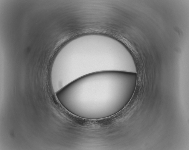 X0000113070207200908281017