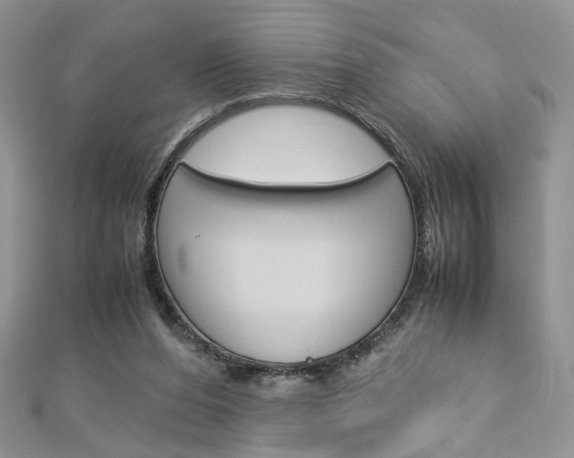 X0000113070208200908281017