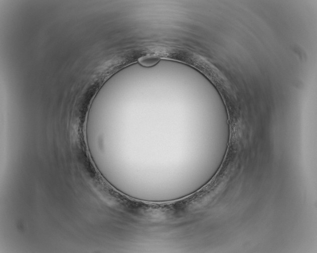 X0000113070209200908281017