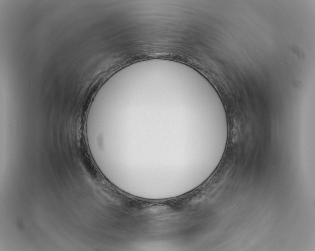 X0000113070210200908281017