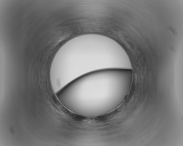 X0000113070211200908281017