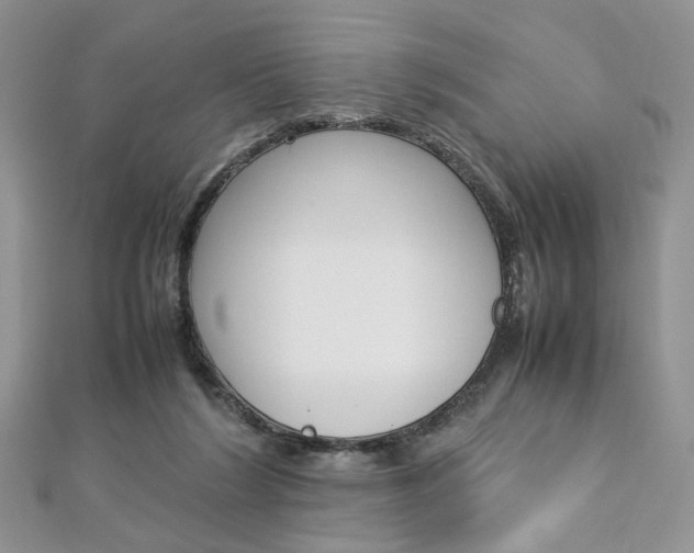 X0000113070212200908281017