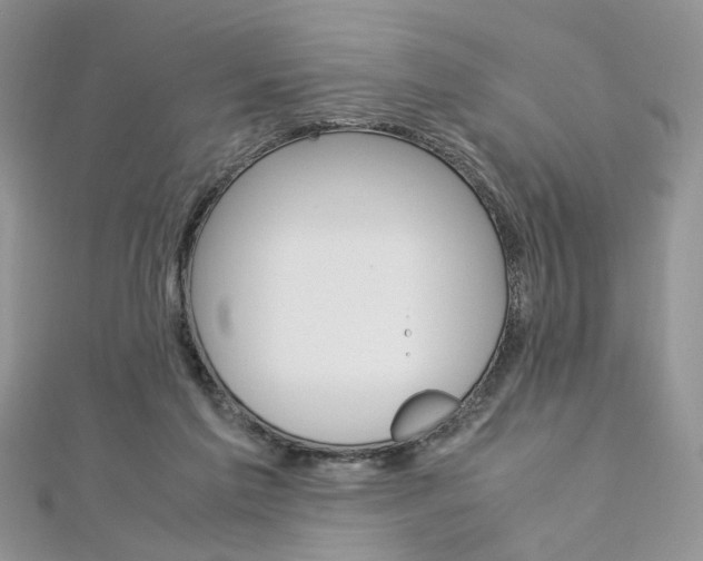 X0000113070213200908281017