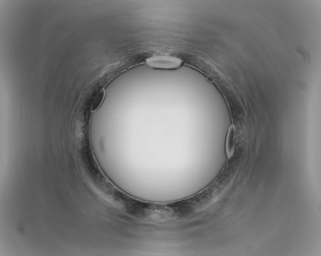 X0000113070215200908281017