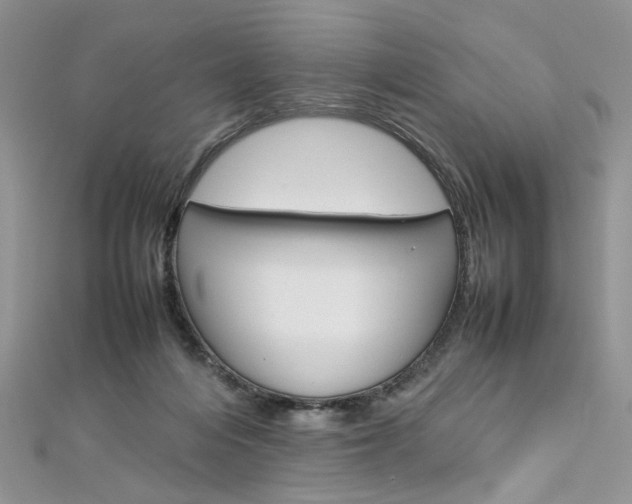 X0000113070216200908281017