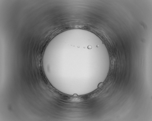X0000113070218200908281017