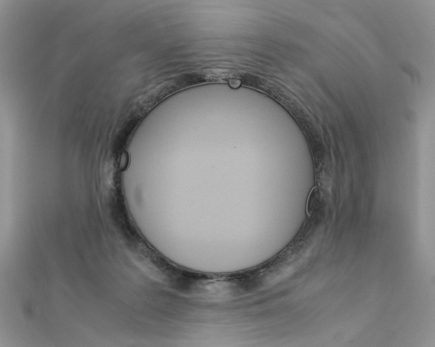 X0000113070219200908281017