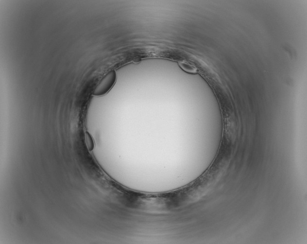 X0000113070221200908281017