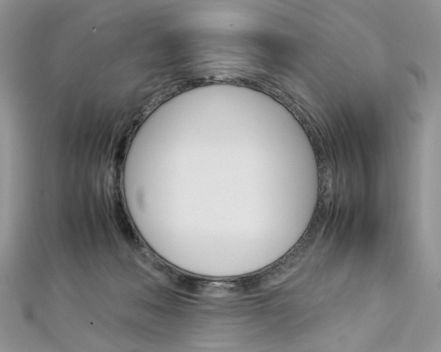X0000113070222200908281017