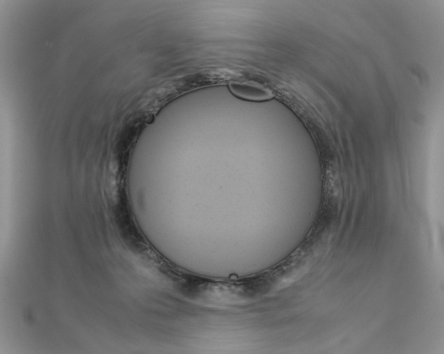 X0000113070223200908281017