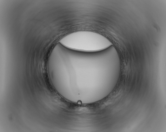 X0000113070224200908281017