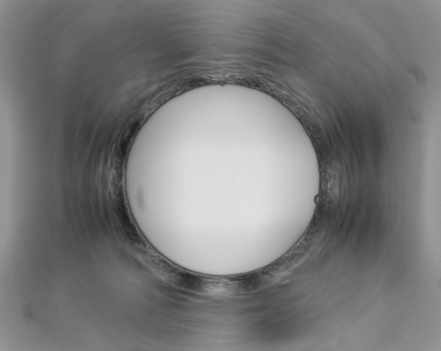 X0000113070226200908281017