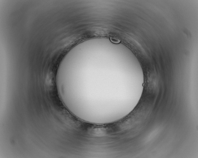 X0000113070228200908281017