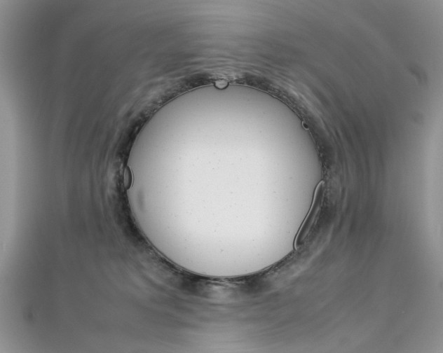 X0000113070229200908281017