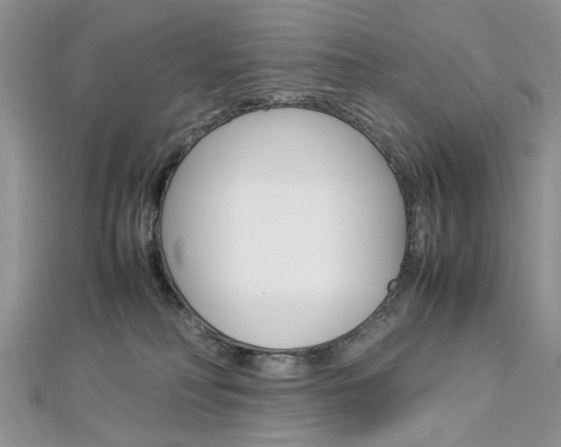 X0000113070230200908281017