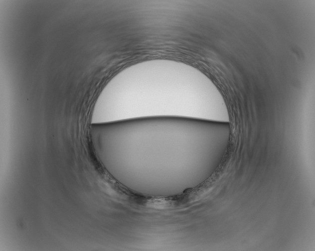 X0000113070231200908281017