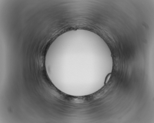X0000113070232200908281017