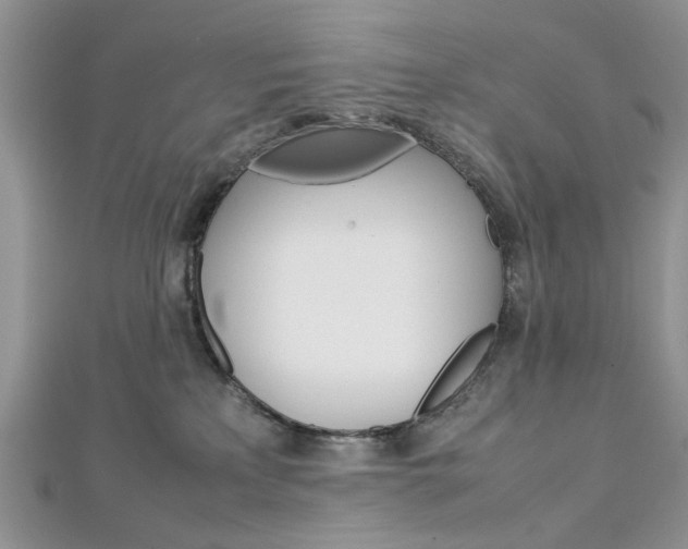 X0000113070233200908281017