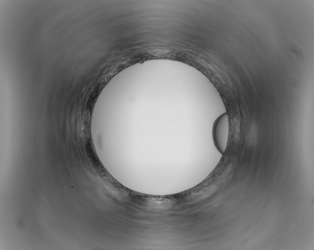 X0000113070234200908281017