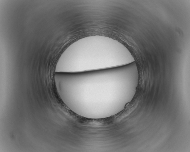 X0000113070236200908281017