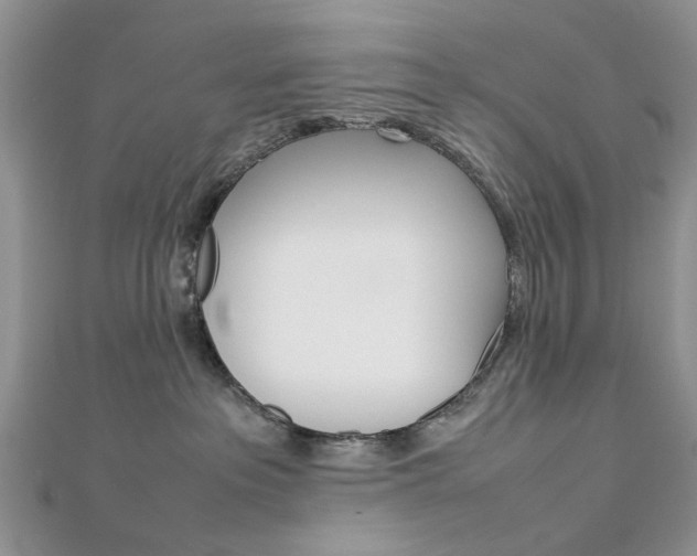 X0000113070237200908281017