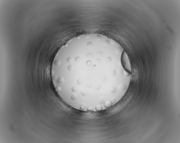 X0000113070238200908281017