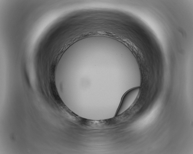 X0000113070239200908281017